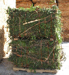 Biomass Bale