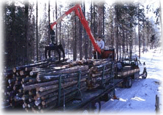 Self Loading Trailer in the woods
